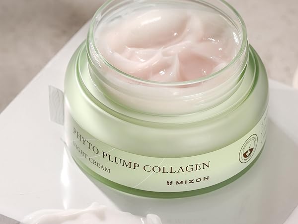 Mizon Phyto Plump Collagen Day Cream